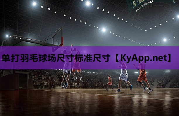 单打羽毛球场尺寸标准尺寸