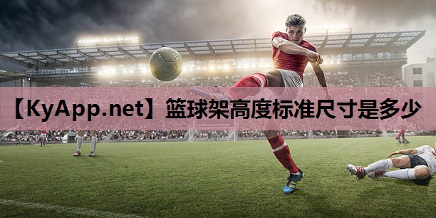 篮球架高度标准尺寸是多少