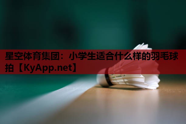 星空体育集团：小学生适合什么样的羽毛球拍