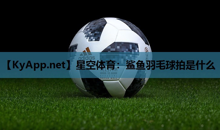 星空体育：鲨鱼羽毛球拍是什么