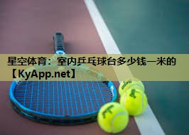 星空体育：室内乒乓球台多少钱一米的