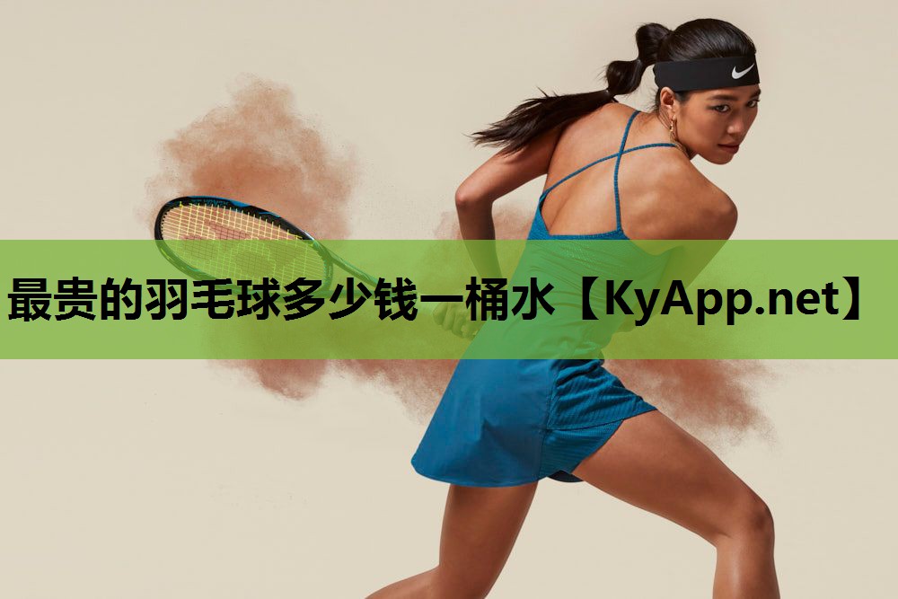最贵的羽毛球多少钱一桶水