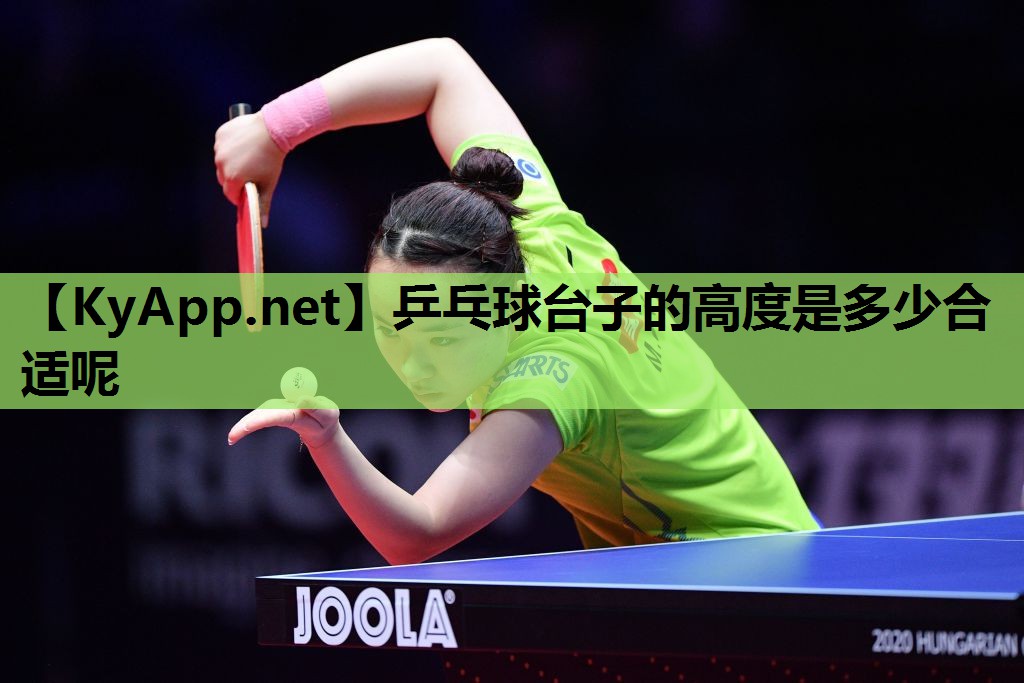 乒乓球台子的高度是多少合适呢
