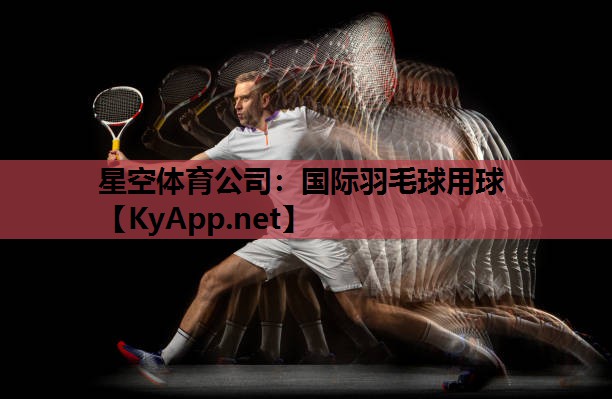 星空体育公司：国际羽毛球用球