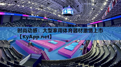 时尚动感：大型家用体育器材激情上市