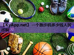 一个跑步机多少钱人民币啊