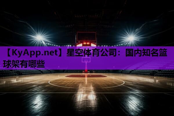 星空体育公司：国内知名篮球架有哪些