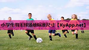 小学生羽毛球场地标准尺寸