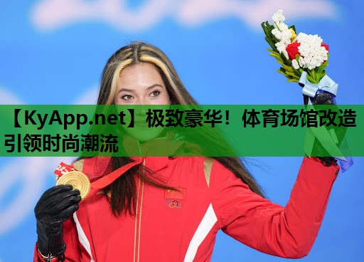 极致豪华！体育场馆改造引领时尚潮流