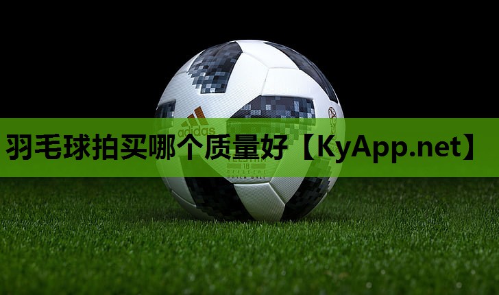 羽毛球拍买哪个质量好