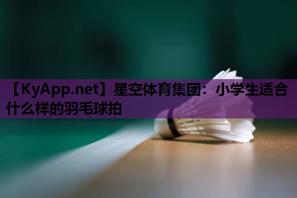 小学生适合什么样的羽毛球拍 小学生适合什么样的羽毛球拍