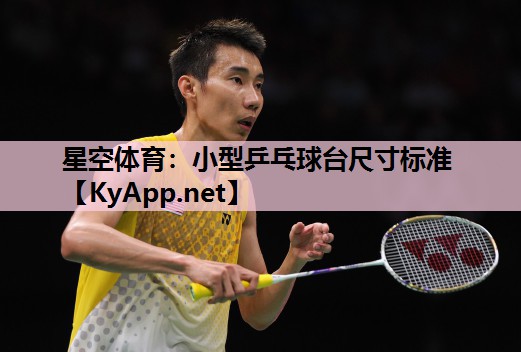 小型乒乓球台尺寸标准 小型乒乓球台尺寸标准
