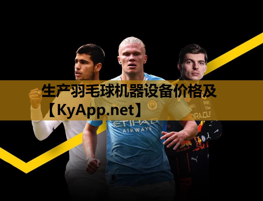 生产羽毛球机器设备价格及 生产羽毛球机器设备价格及