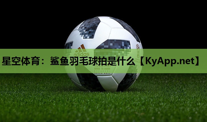 鲨鱼羽毛球拍是什么