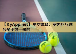 室内乒乓球台多少钱一米的