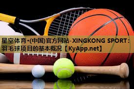 羽毛球项目的基本概况 羽毛球项目的基本概况