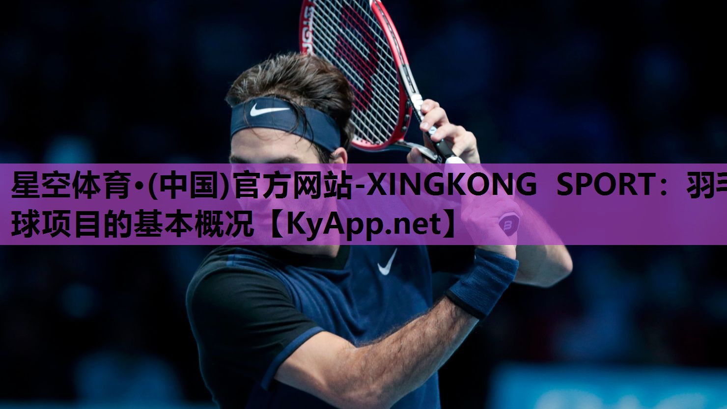 羽毛球项目的基本概况 羽毛球项目的基本概况