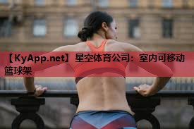 室内可移动篮球架 室内可移动篮球架