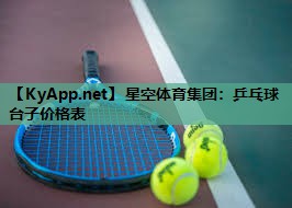 乒乓球台子价格表 乒乓球台子价格表