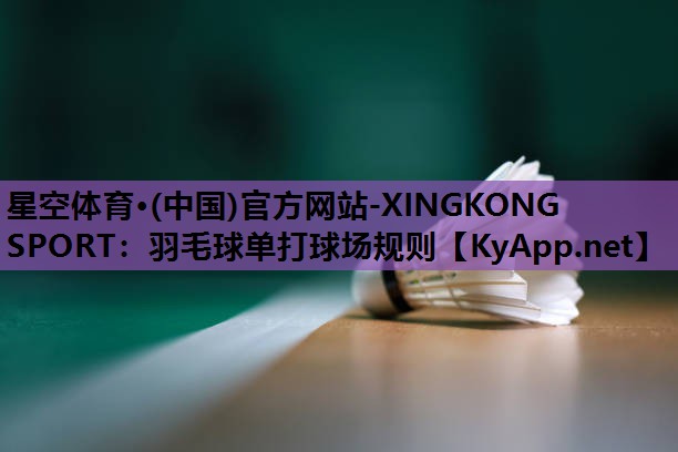 羽毛球单打球场规则 羽毛球单打球场规则