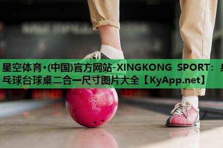 乒乓球台球桌二合一尺寸图片大全 乒乓球台球桌二合一尺寸图片大全