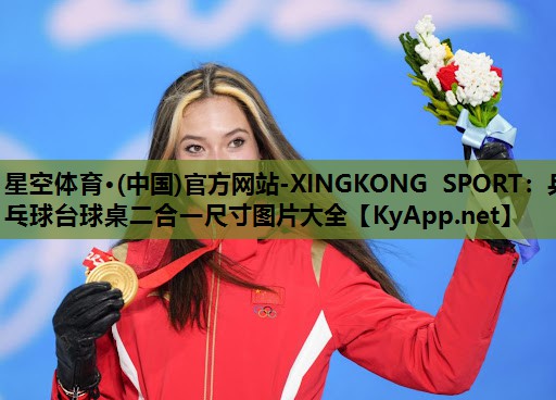 乒乓球台球桌二合一尺寸图片大全 乒乓球台球桌二合一尺寸图片大全